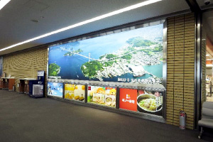 商品展示&全面広告
